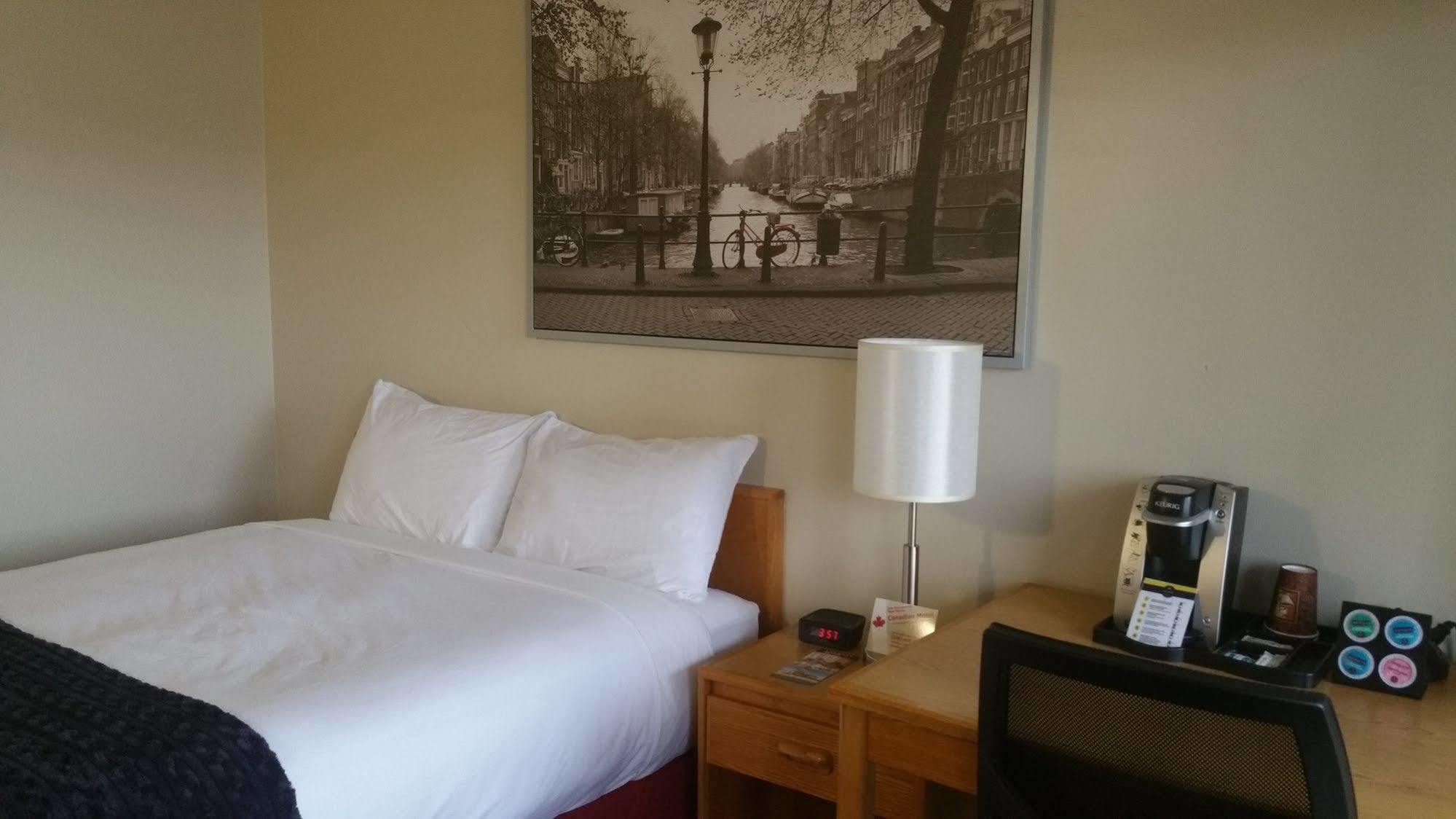 Canadian Motel نورث باتلفورد المظهر الخارجي الصورة